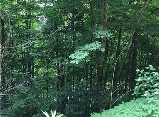 59 Kitty Ln, Waynesville, NC 28785