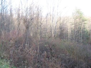 Bryan Rd, Erin, NY 14838