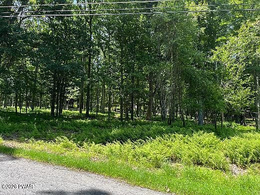 1st image of 314 Forest Dr
