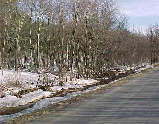 2nd image of E LAKE Road