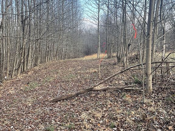 3rd image of 0 Sugar Tree Knob Rd Lot 4