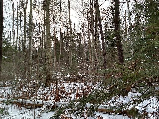 2nd image of 13 On Old Rd
