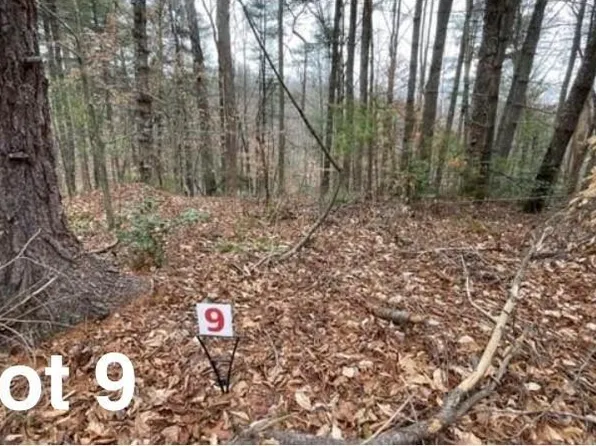 9 Woods Haven Ln #9, Stuart, VA 24171