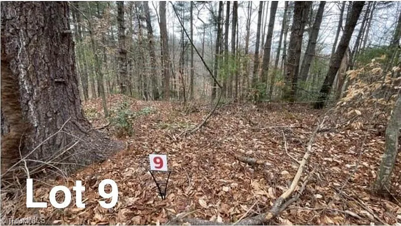 9 Woods Haven Ln #9 photo 1
