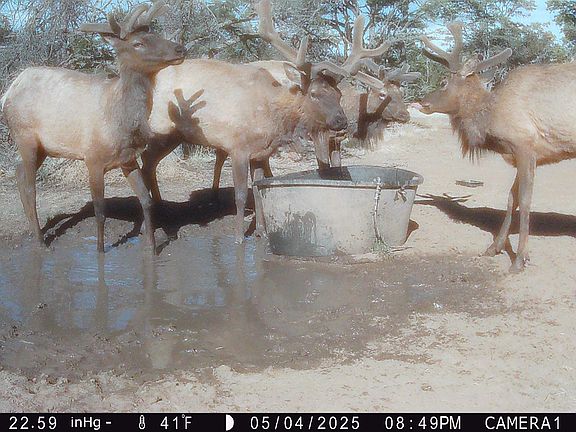3rd image of 214 Mujeres Ranch Rd
