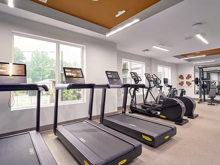 Cardio and Strength Training Fitness Center with Techno-Gym Equipment
