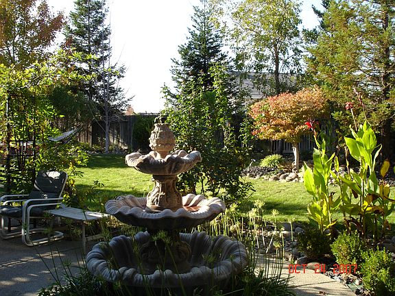 Large Groomed Yard