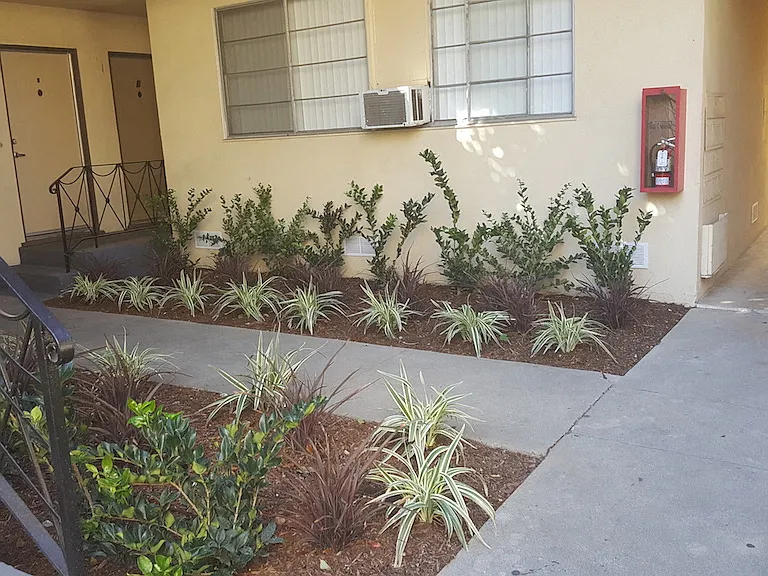 South Olive Apartments — Photo 14