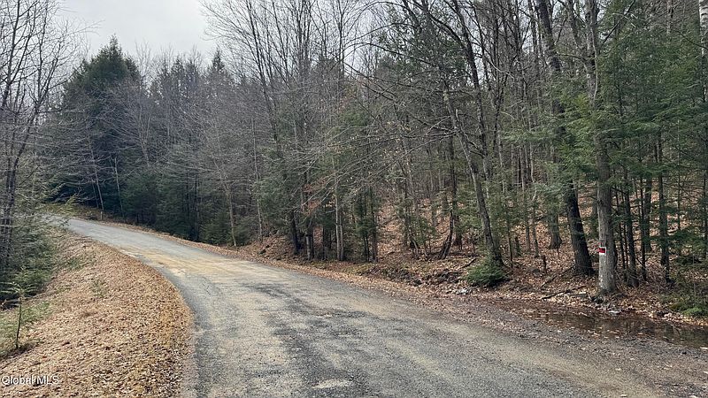 3rd image of 4 Spring Wood