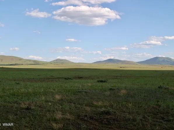 55 Lakeland, Concho, AZ 85924