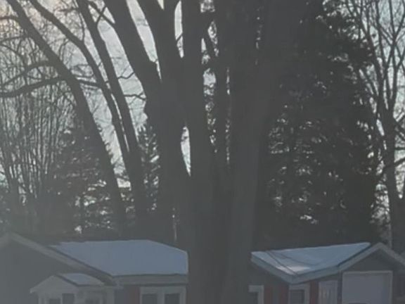 3rd image of 4220 Pleasant STREET