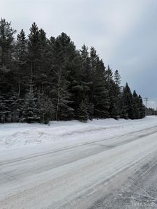 Tbd Tannery Rd, Manistique, MI, 49854