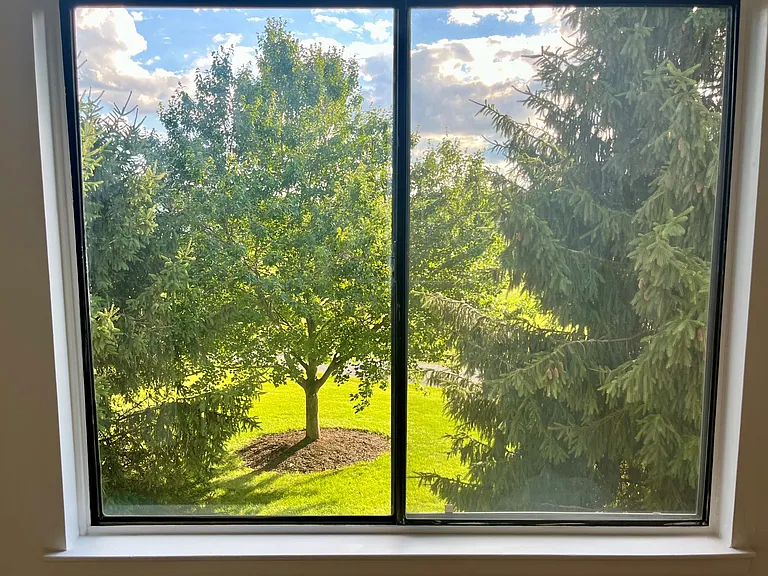 view from bedroom window