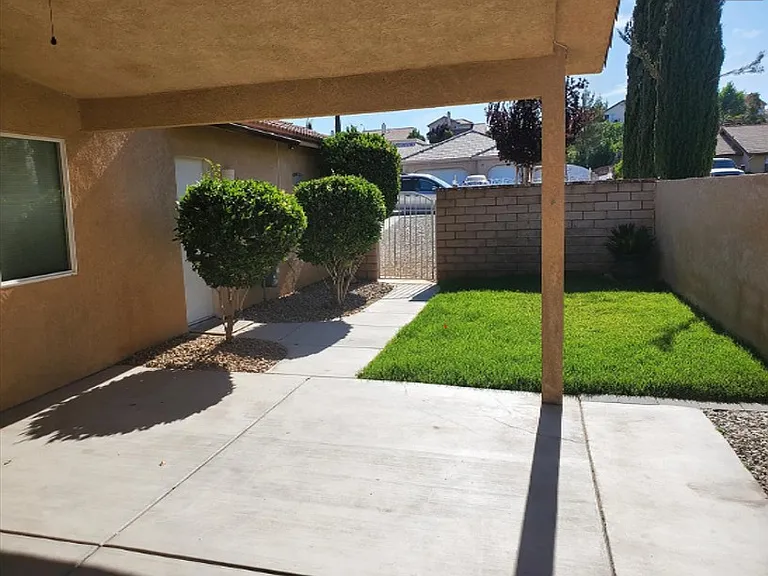 Back Patio