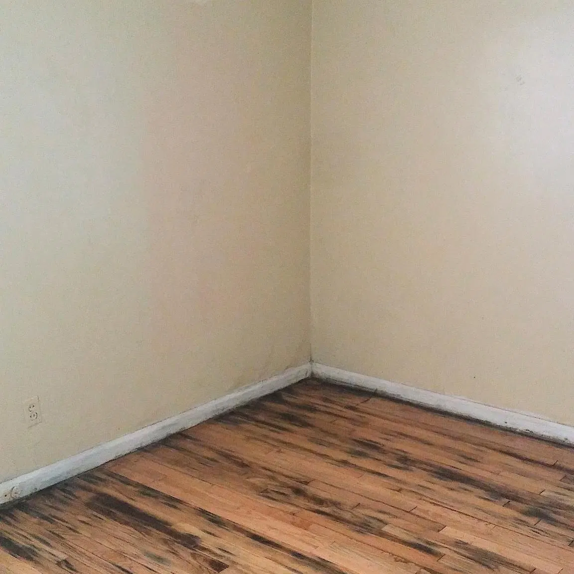 3 bed, 1000 sqft, $1,400 — Photo 3