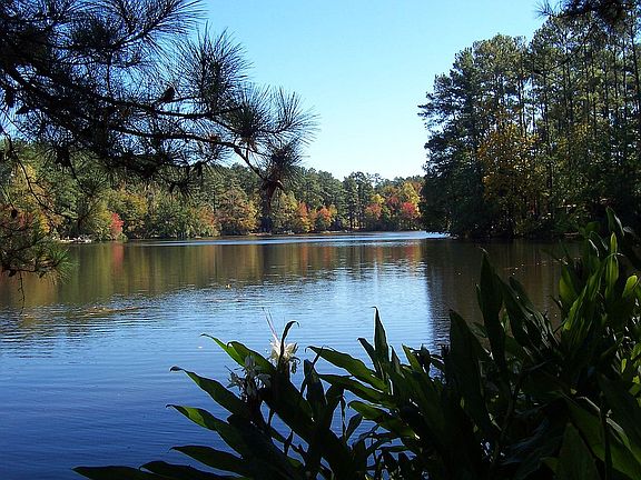 Lake view from the back lawn