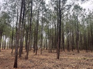 0 Praxis Ct, Cottageville, SC 29435