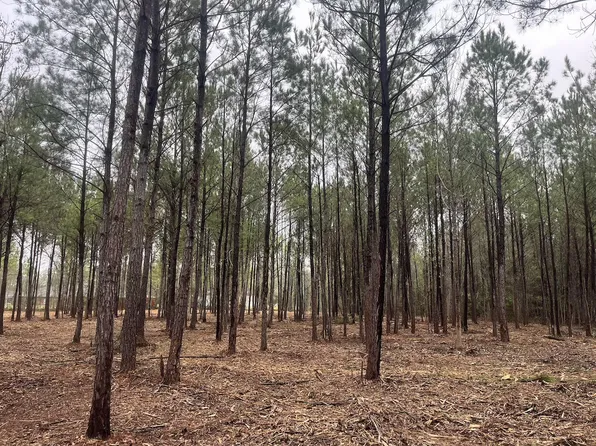 0 Praxis Ct, Cottageville, SC 29435