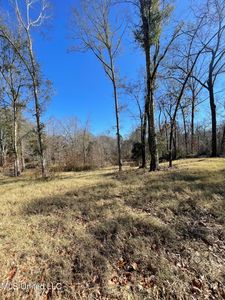 137 Robins Lake Rd, Natchez, MS, 39120