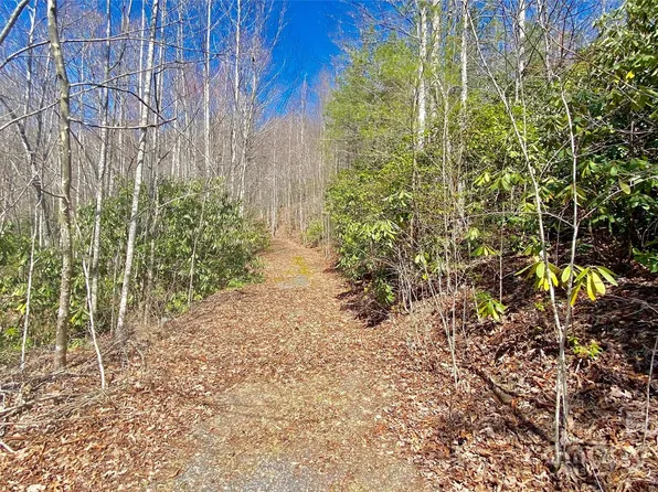 9999 Lake George Rd #972/973, Old Fort, NC 28762