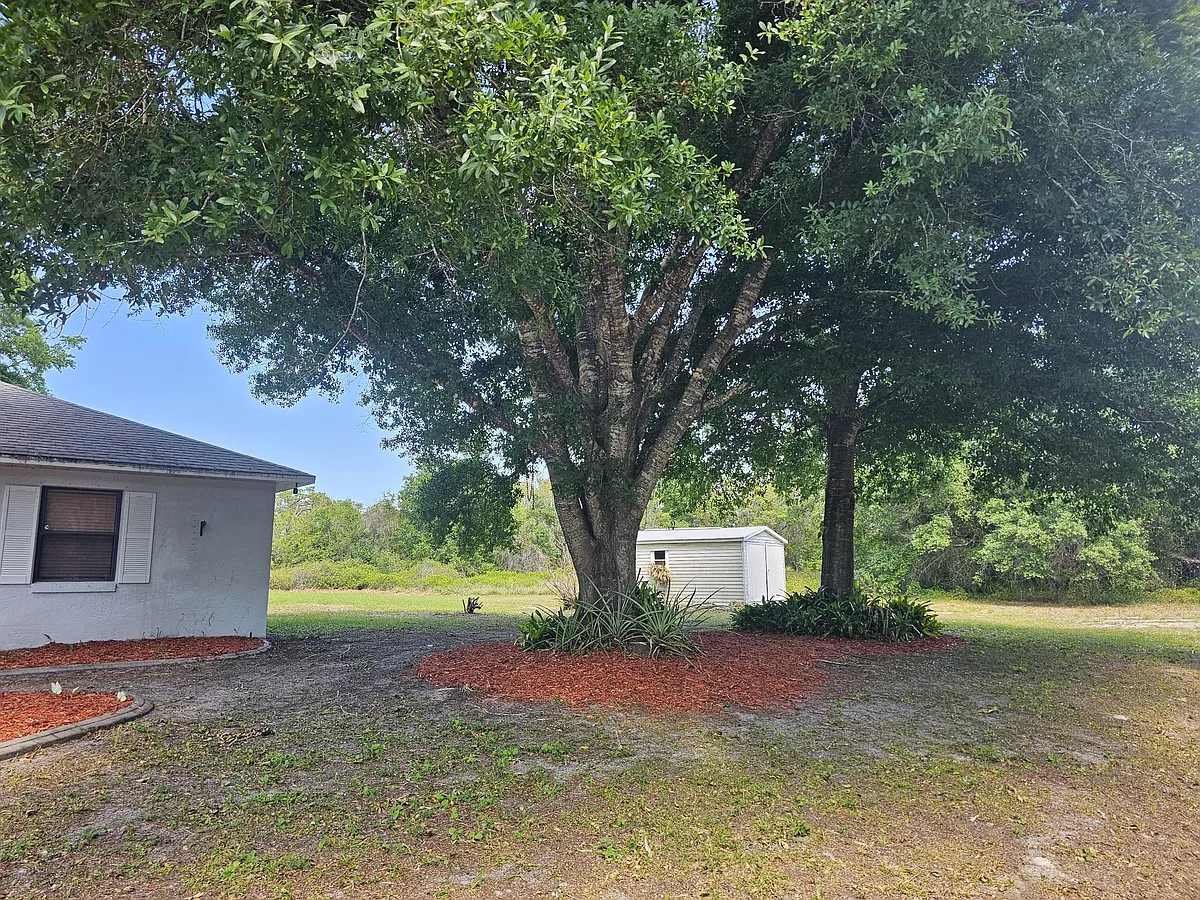 Building Photo - 3117 Buttercup Ln