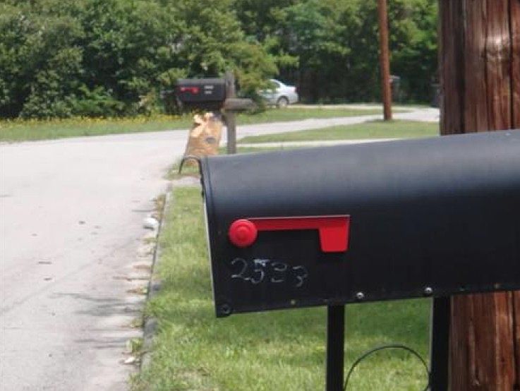 2nd image of 2533 Blueberry Dr