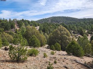 301 Maurice Dr, Cotopaxi, CO