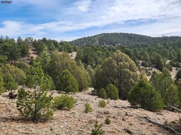 301 Maurice Dr, Cotopaxi, CO 81223