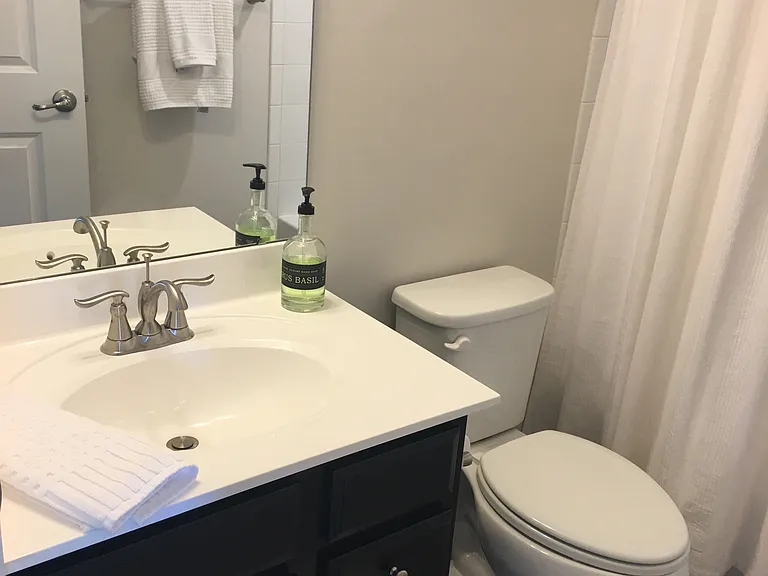 8204 Secluded Cove Ln — Photo 16