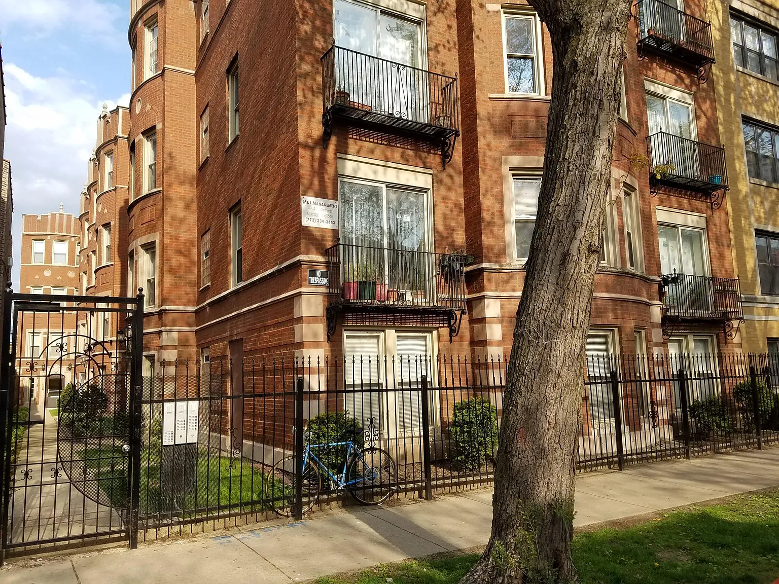1 bed, $1,100 — Photo 1