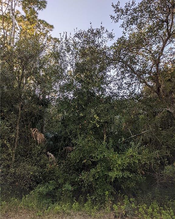 2nd image of 3413 Douglas Rd