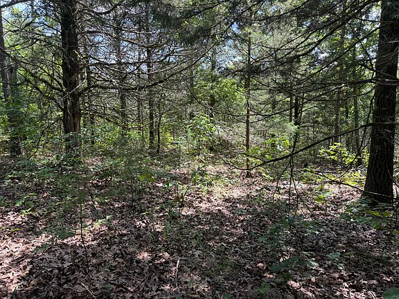 3rd image of 000 Ranch Road