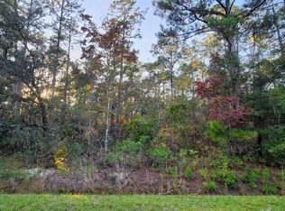 10165 Hennessey Ave, Hastings, FL 32145