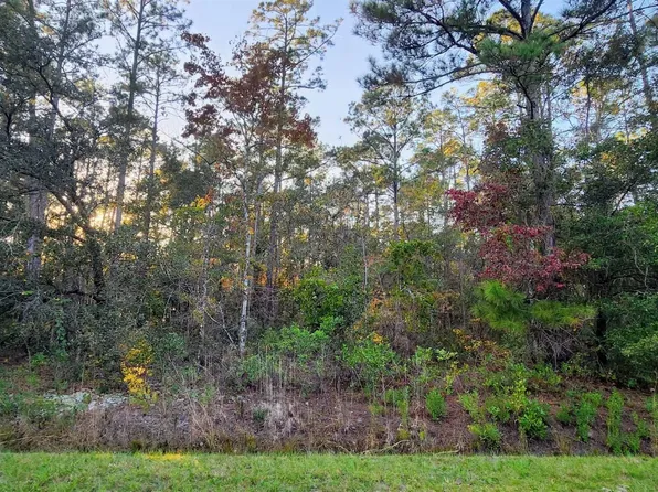 10165 Hennessey Ave, Hastings, FL 32145