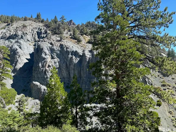 Apn #4080001000, Markleeville, CA 96120