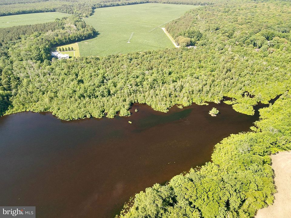 PARCEL 10.02 Reynolds Pond Rd, Ellendale, DE 19941 MLS DESU2036154