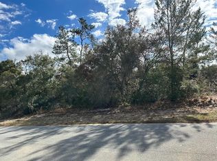 SW 178th Street Rd LOT 10, Ocala, FL 34473