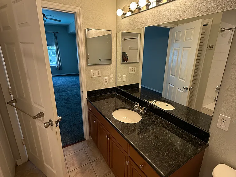 700 S Harbour Island Blvd #421 — Photo 21