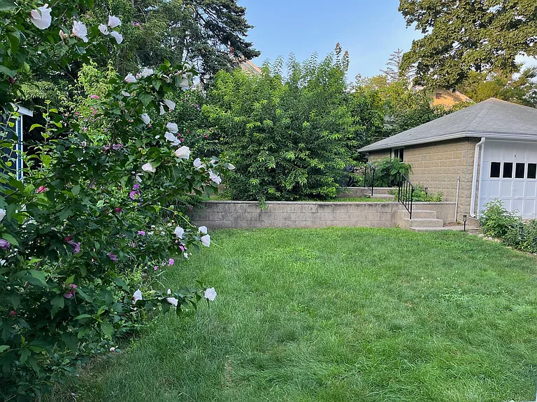 Back garden and lawn