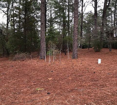4th image of 10 W Quail Lake Road LOT 101