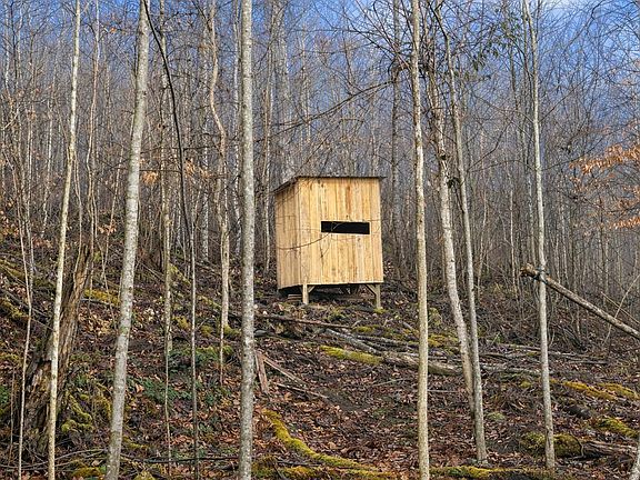 5th image of 1 Lower Turkey Creek Rd