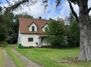 72 Childs St, Springville, NY 14141