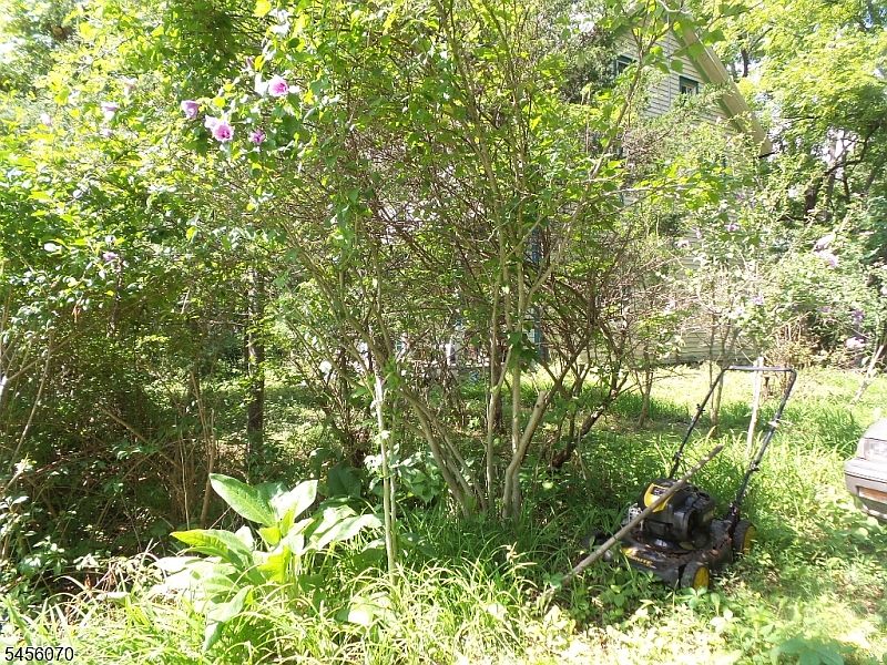 1st image of 146 River Rd