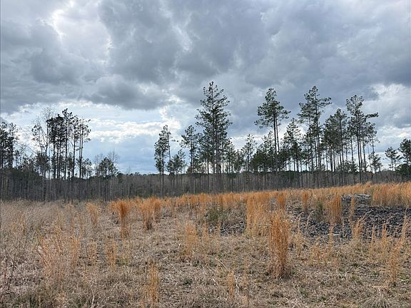 4th image of Cutts Rd