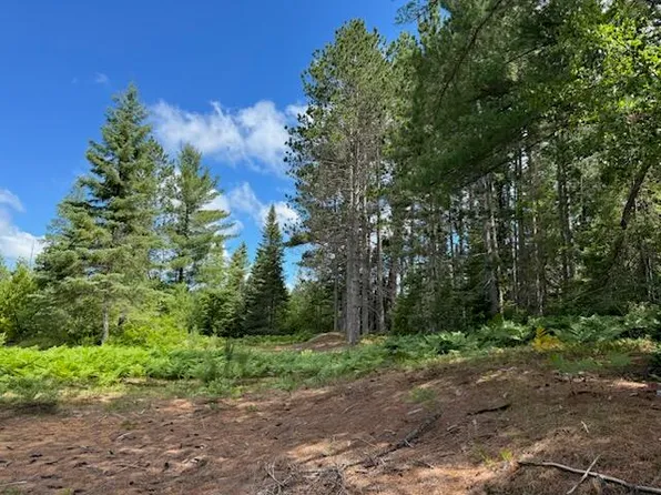 0 N Country Trl #405, Newberry, MI 49868