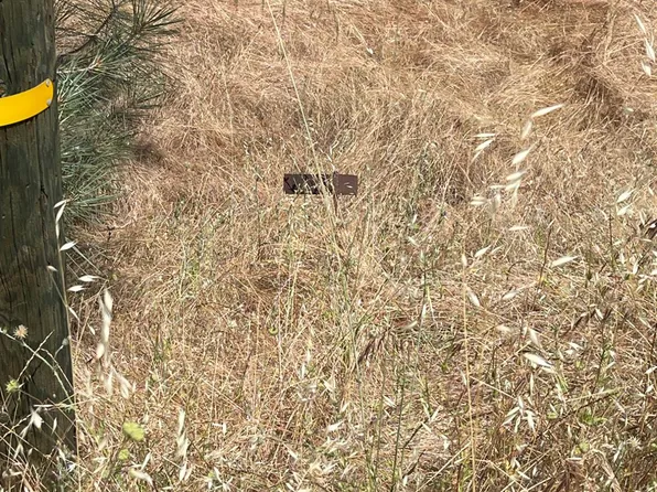 Hoyito, La Grange, CA 95329