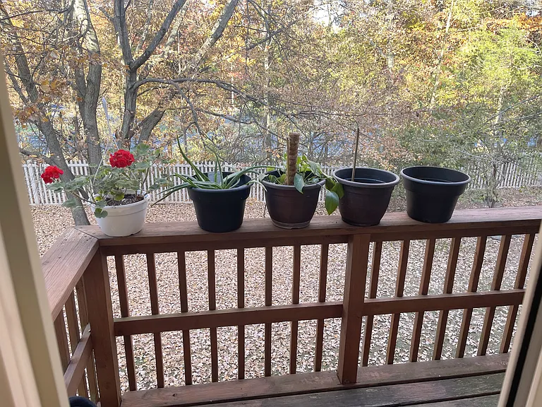 Deck - 1