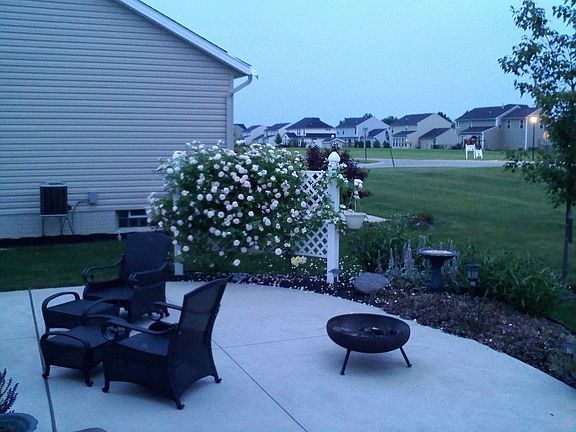 Beautiful rose trellis next to sitting area provides privacy