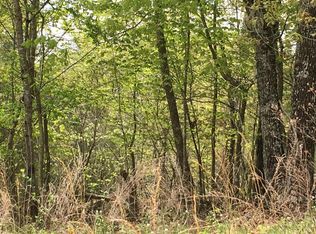 Maple Dr, Spring city, TN 37381