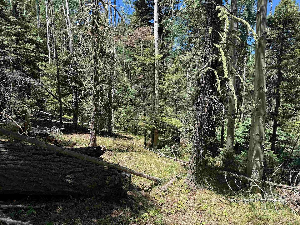 1st image of Lot 374A Vail Loop
